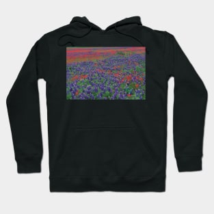 Sand Bluebonnet And Paintbrush Flowers Hoodie